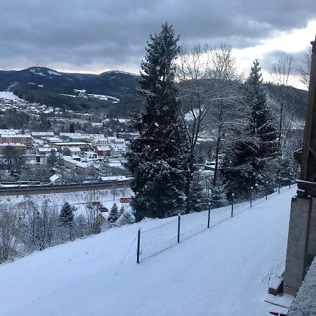 Lambach Villa Appartament 2 Мюрццушлаґ Екстер'єр фото